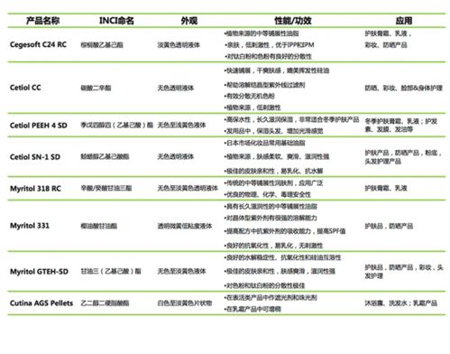 賽福網(wǎng)站 專(zhuān)業(yè)網(wǎng)站建設(shè)與服務(wù)