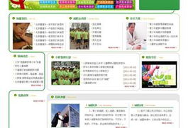 沈陽網站建設與設計 打造專業在線形象，驅動企業數字增長