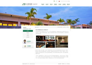 奧遠科技 木森集團官方網站建設專家，深耕云南與昆明的網絡服務